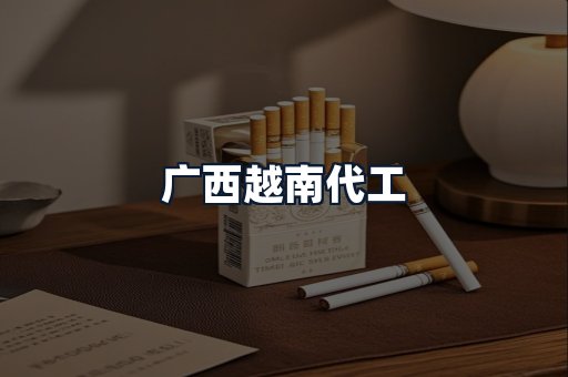 广西越南代工